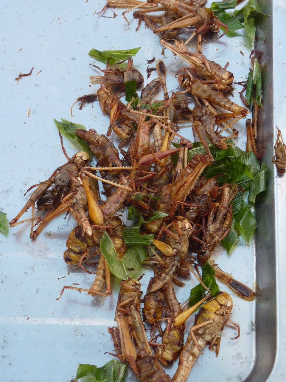 Vibrant Local Atmosphere