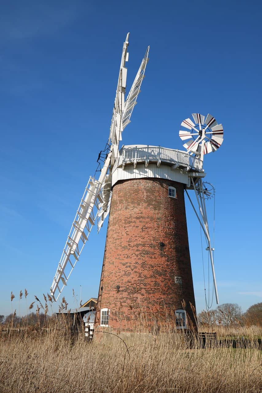Norfolk Broads Wildlife