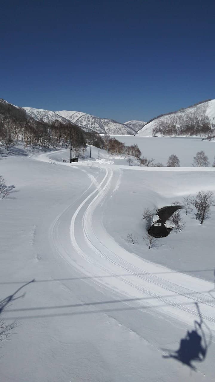 Dragondola Connection