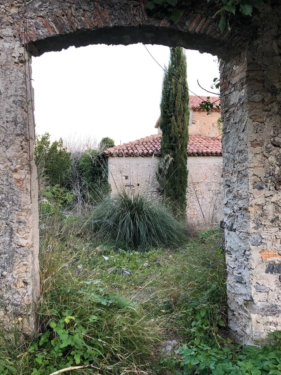 Vertical photo