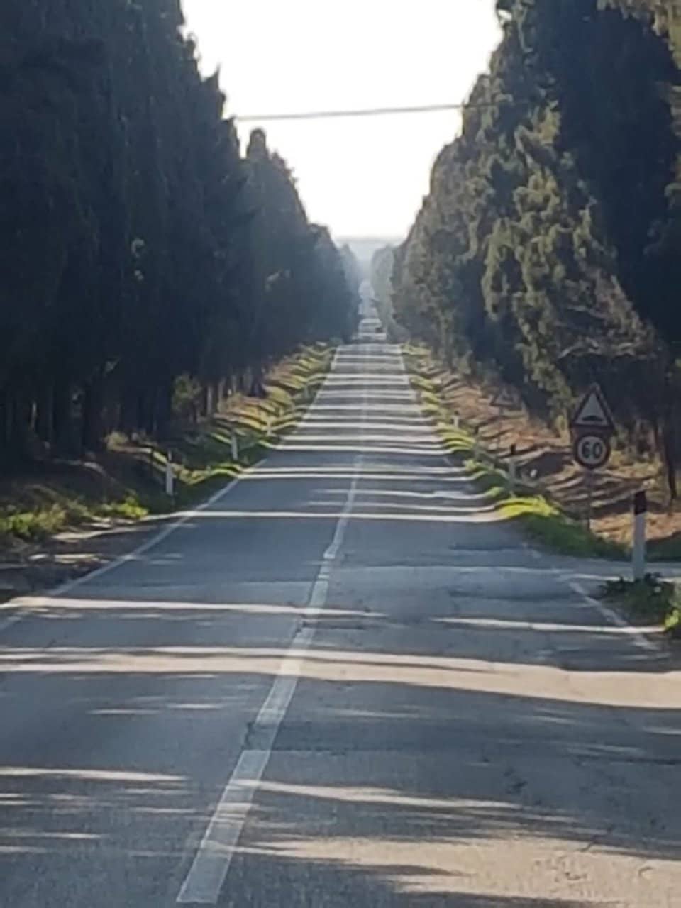 Highlights