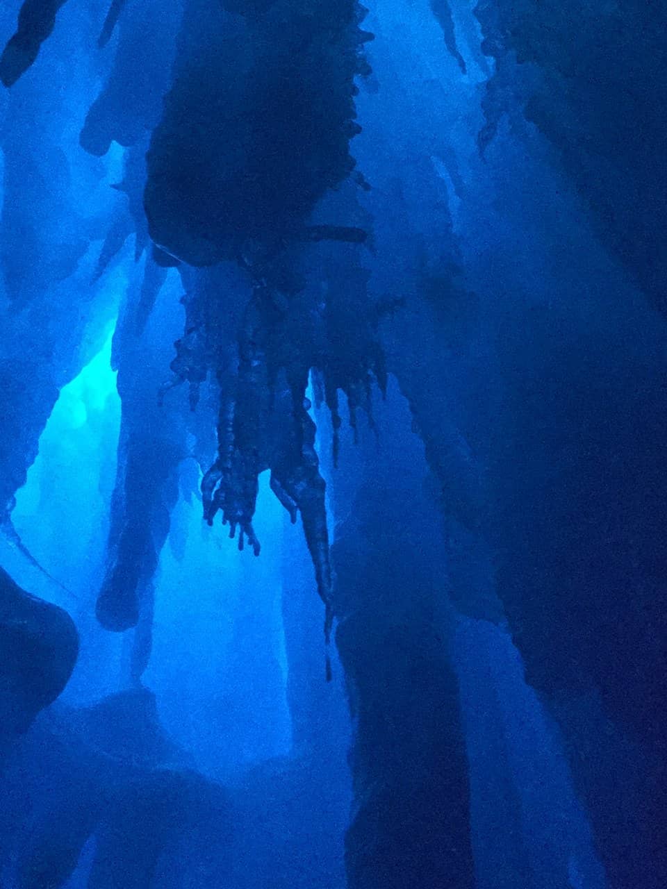 Vertical photo