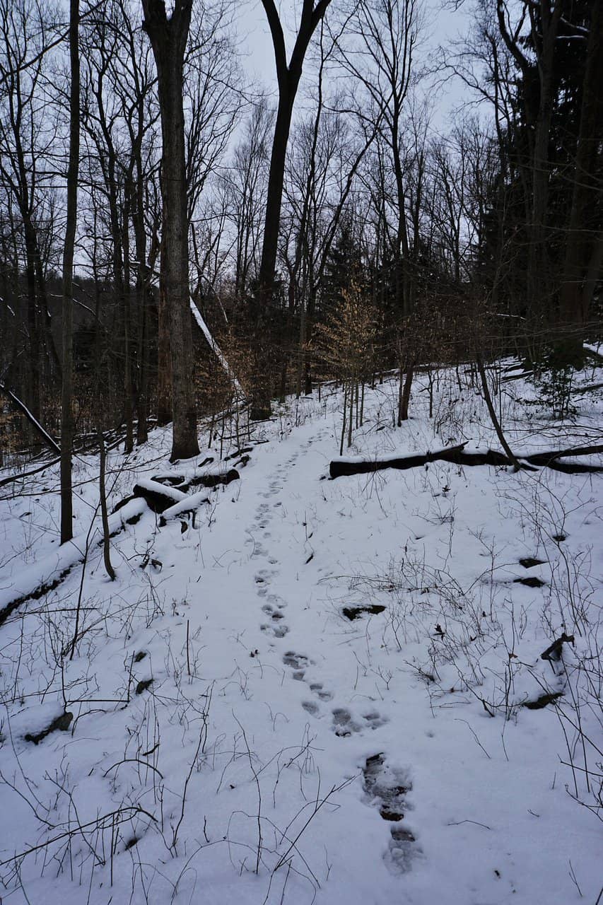 Scenic Lookouts & Trails