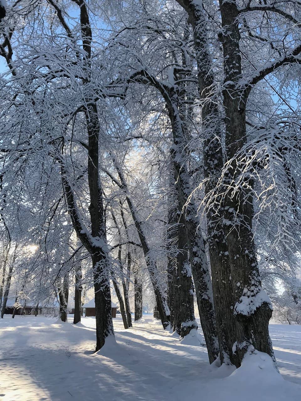 Vertical photo