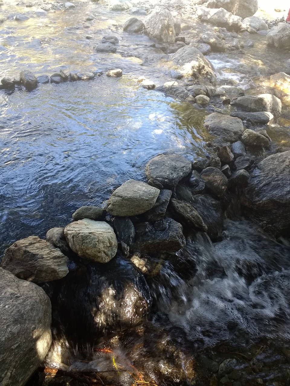 Local Food and Craft Stalls