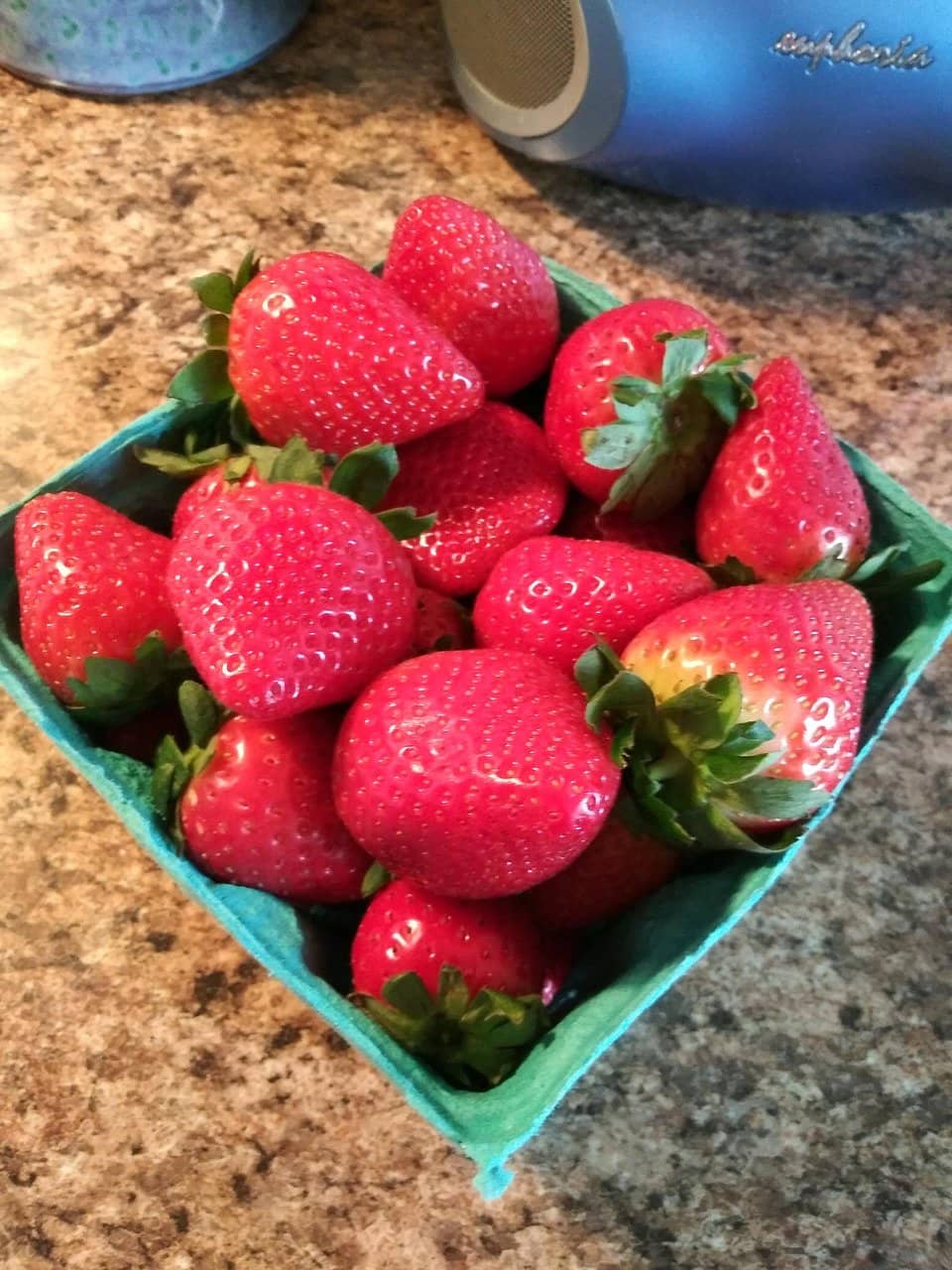 Soft Pretzels & Lemonade