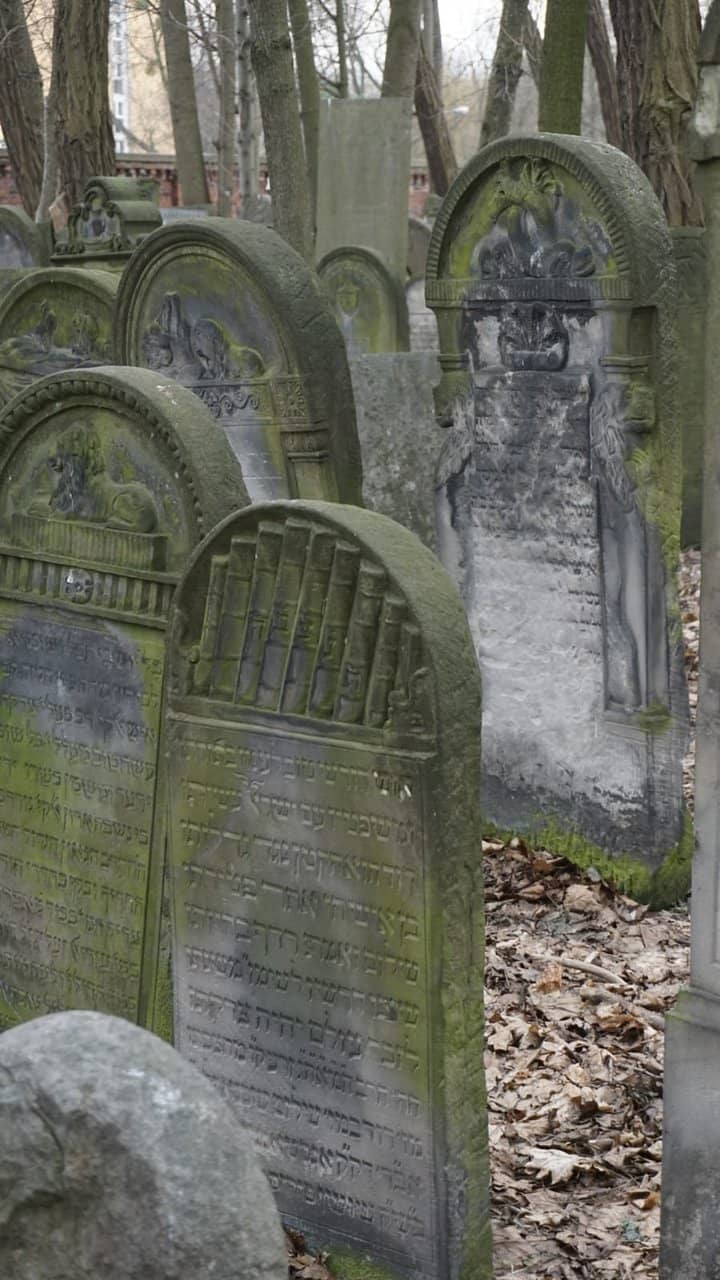 WWII Mass Graves