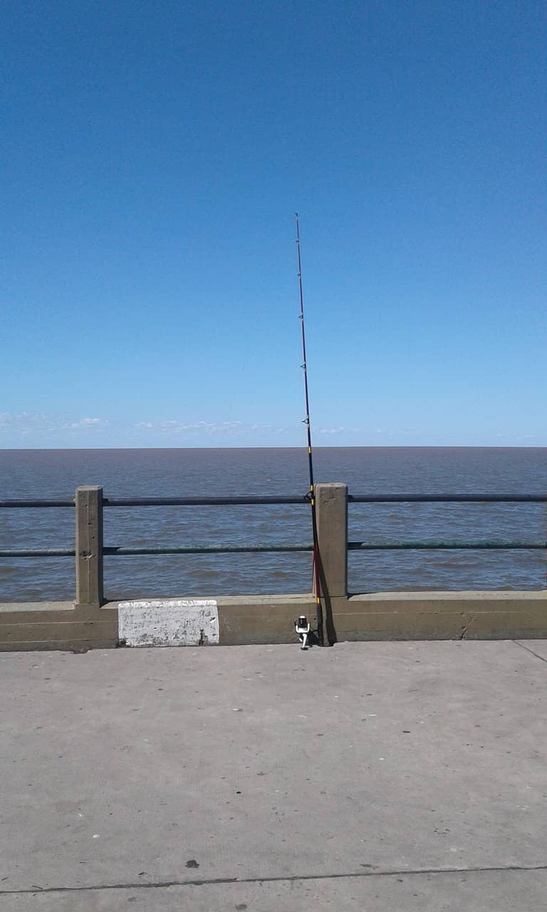 Expansive Swimming Pool
