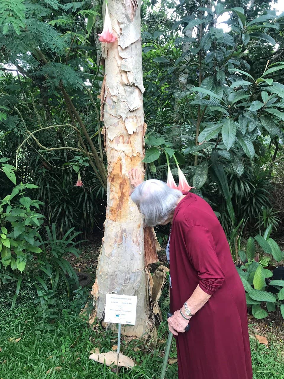 The Pink Palace Exterior