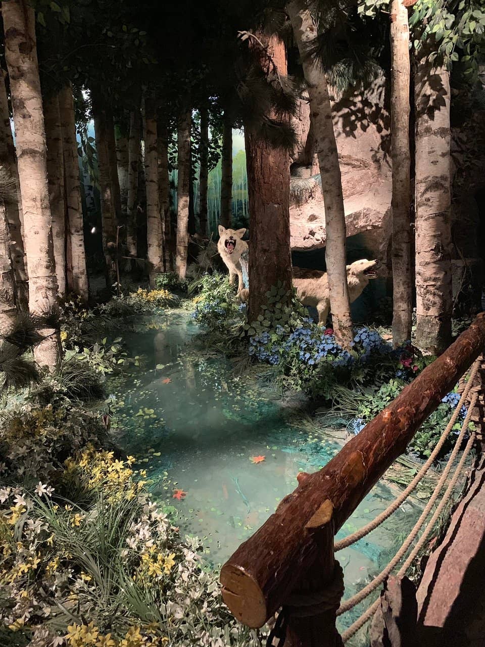 Local Natural Wonders