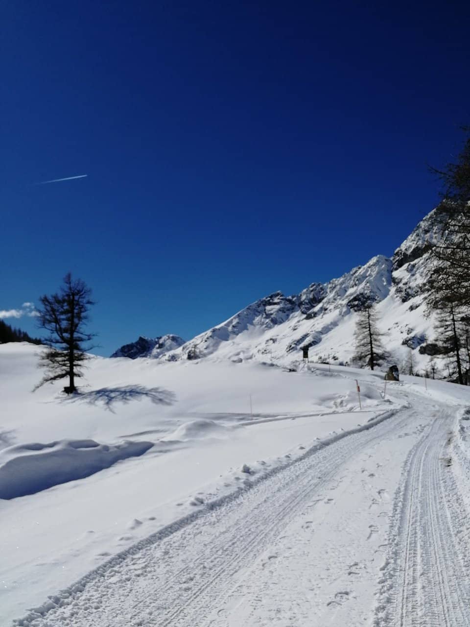 Trekking Trail Access
