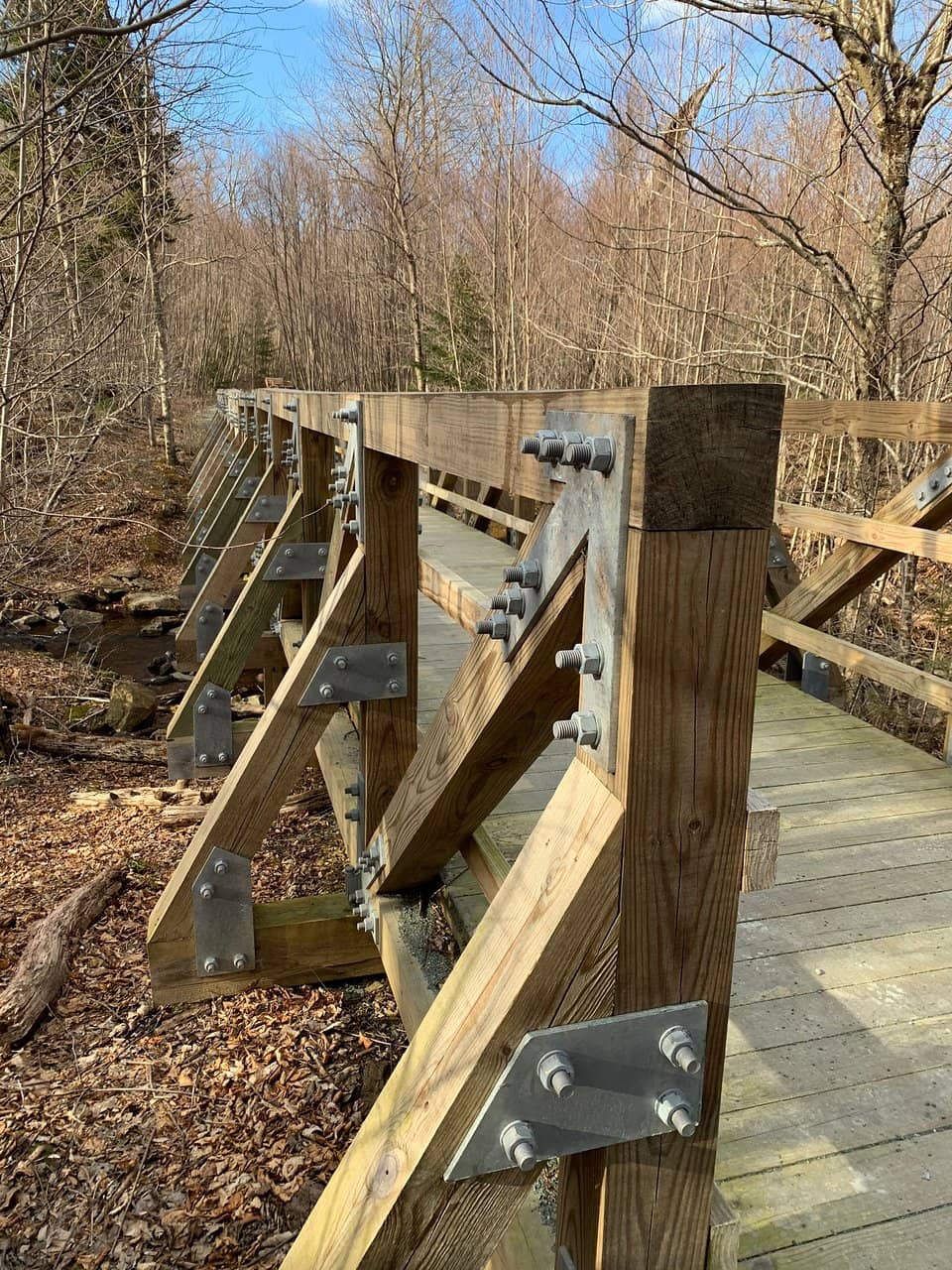 Wildlife Viewing Spots