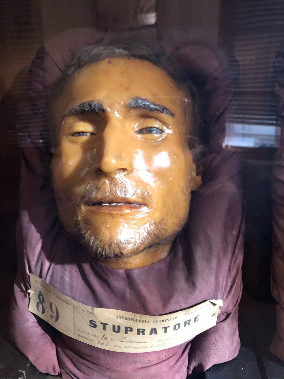 Anatomical Preparations