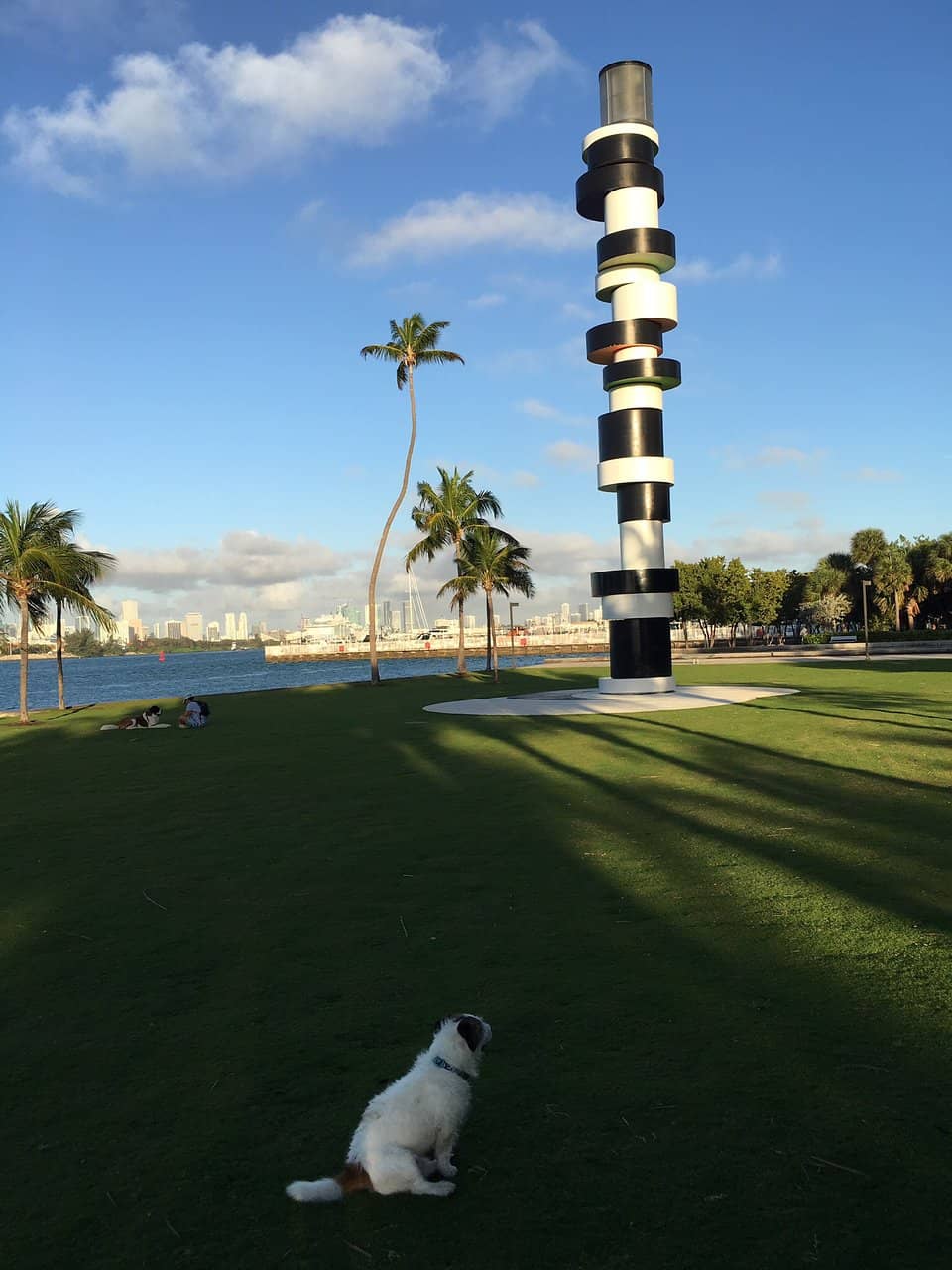 Ship Watching Paradise