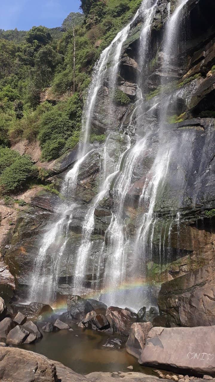 The Widest Cascade