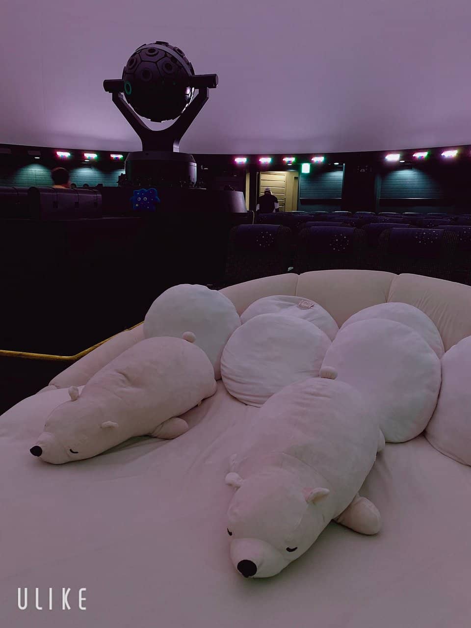 Themed Shows