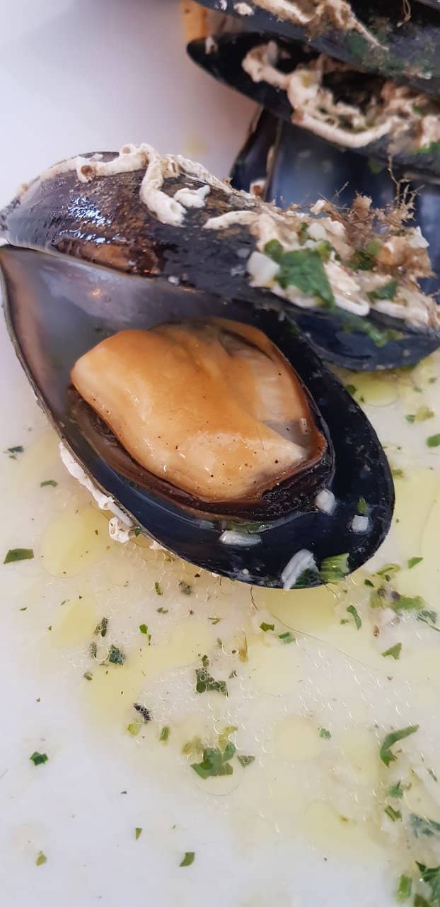 Mussels