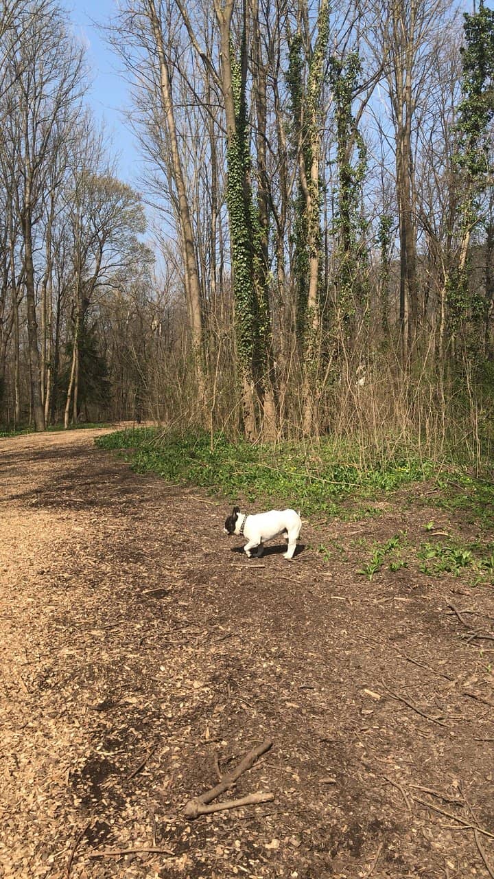 Helenental Valley Trails