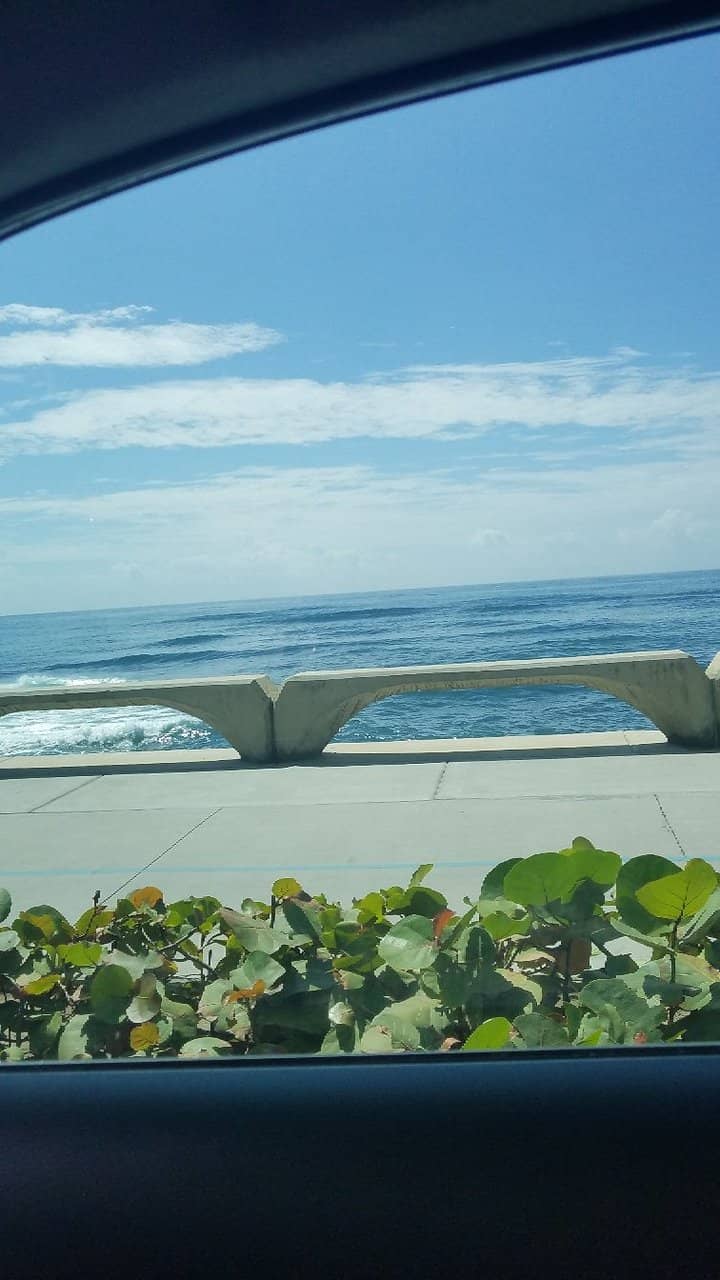 Malecón Vibes