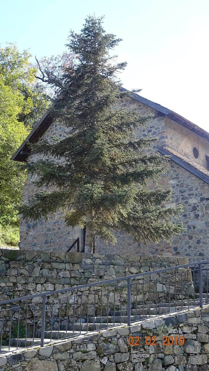 Byzantine Frescoes