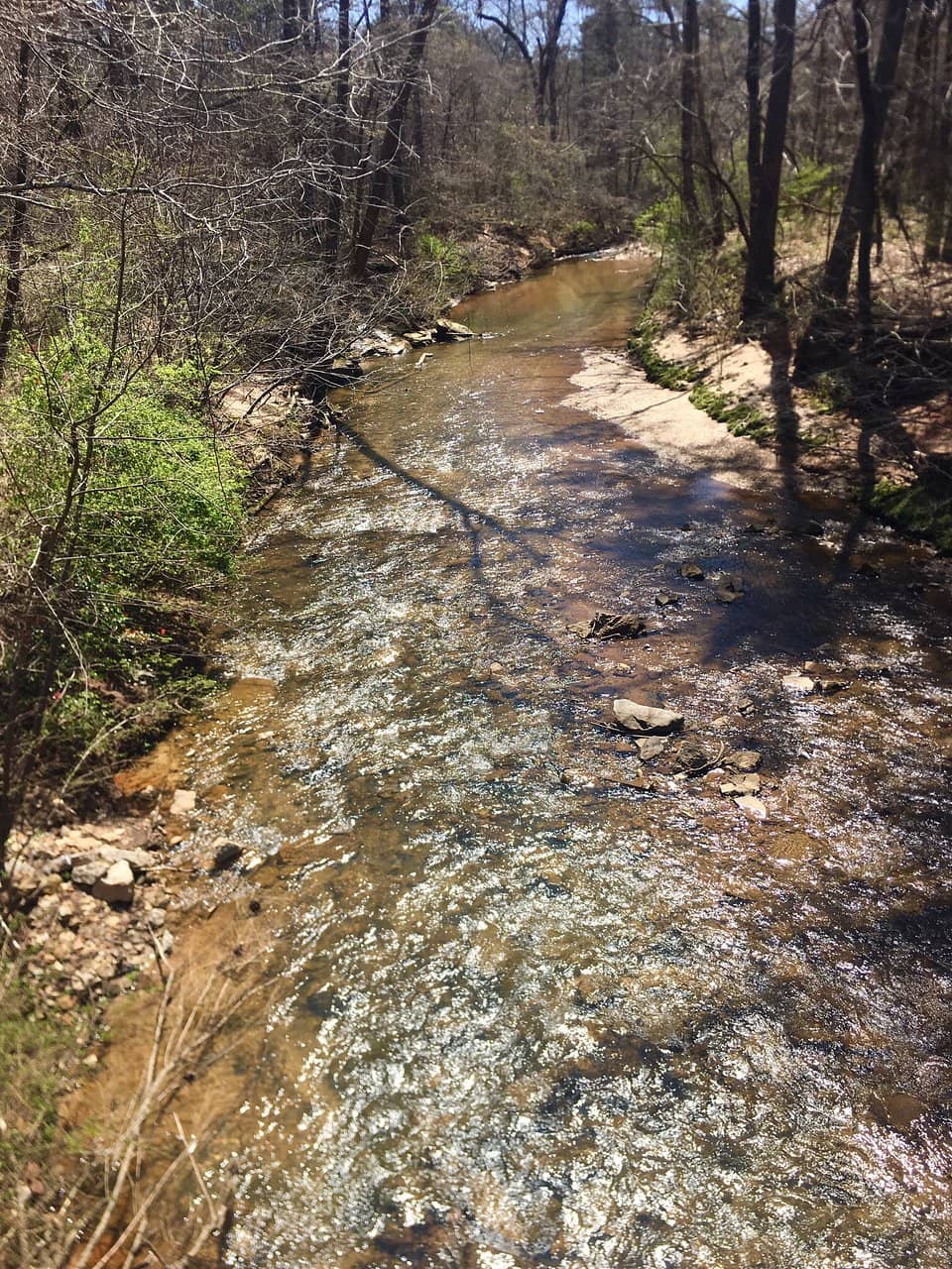 Multipurpose Trail