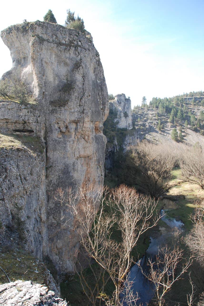 Griffon Vulture Colonies