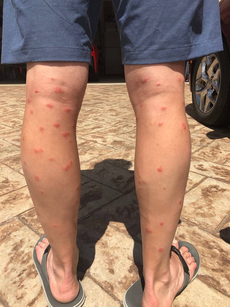 World-Class Shelling