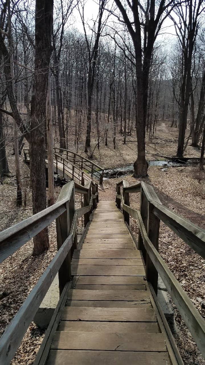 Extensive Interconnected Trails