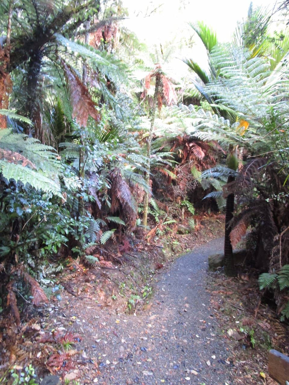 Interpretive Signage