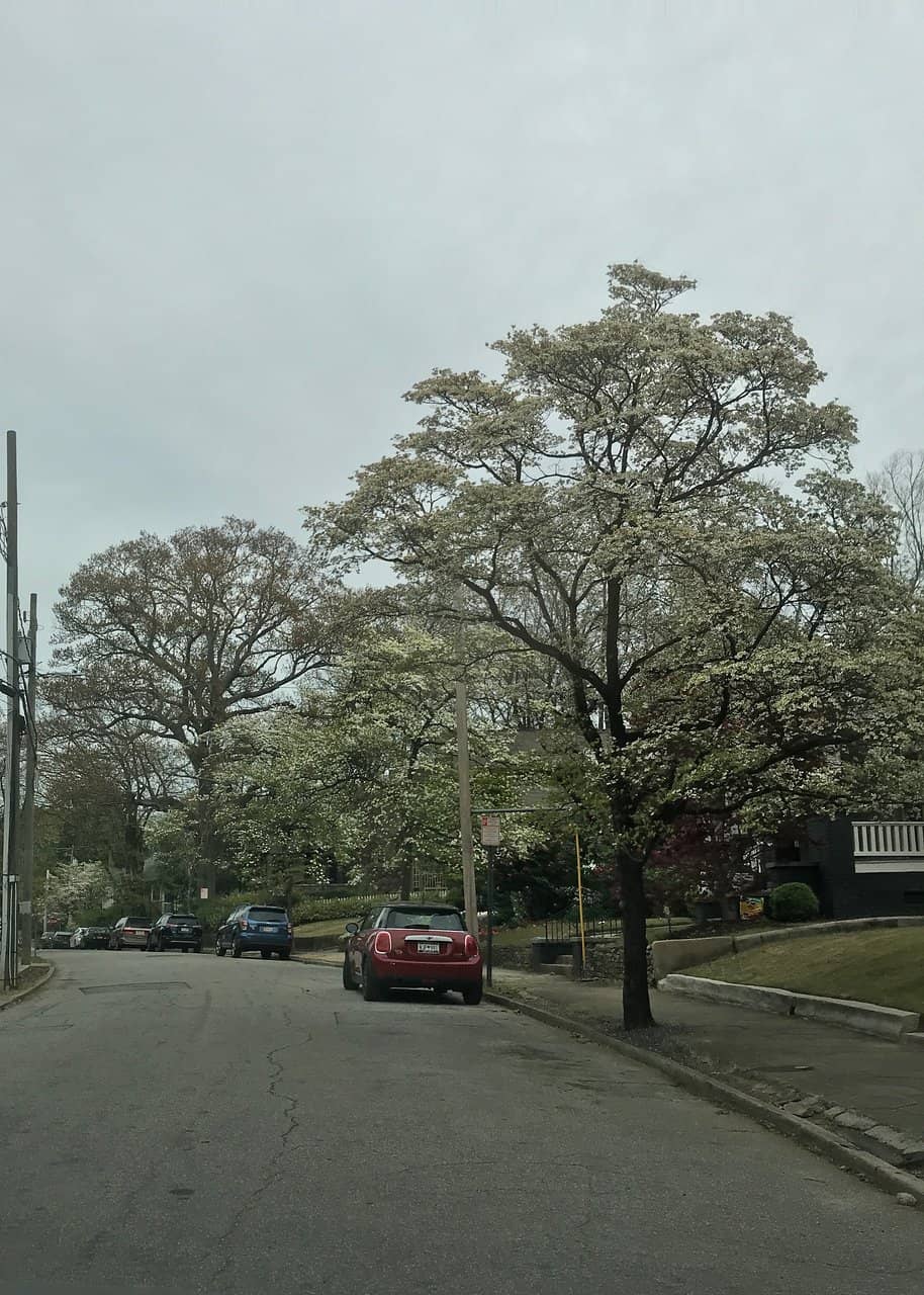 Third hero image