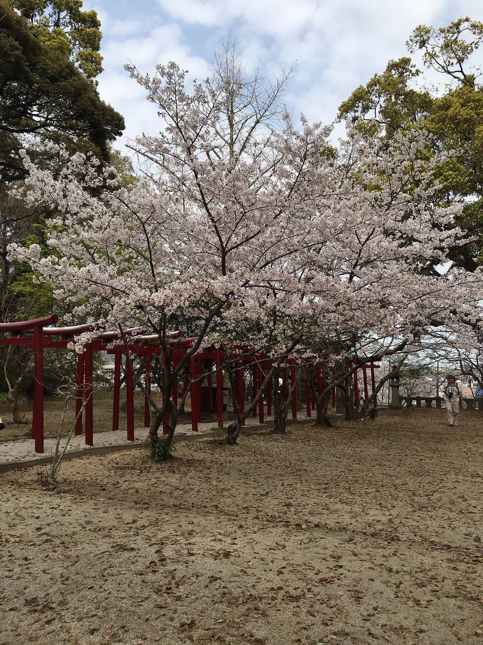 Evening Illuminations