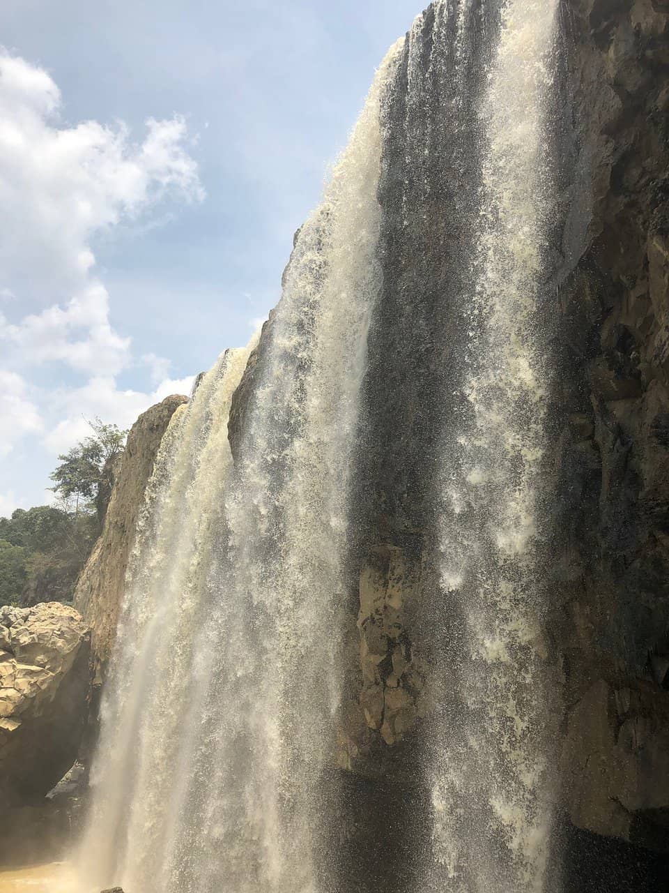 Spectacular Palace Gardens