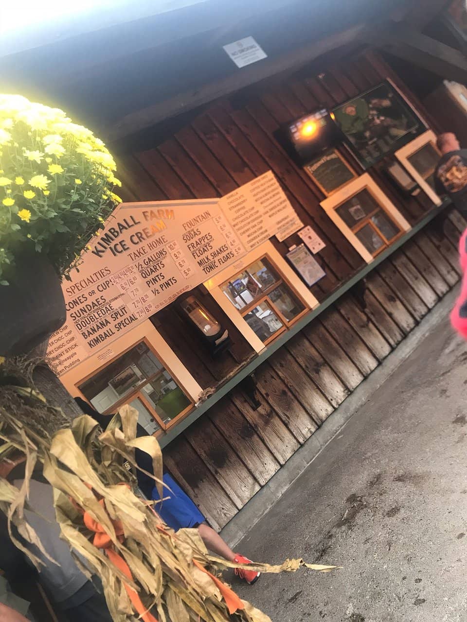 Bumper Boats & Bumper Cars