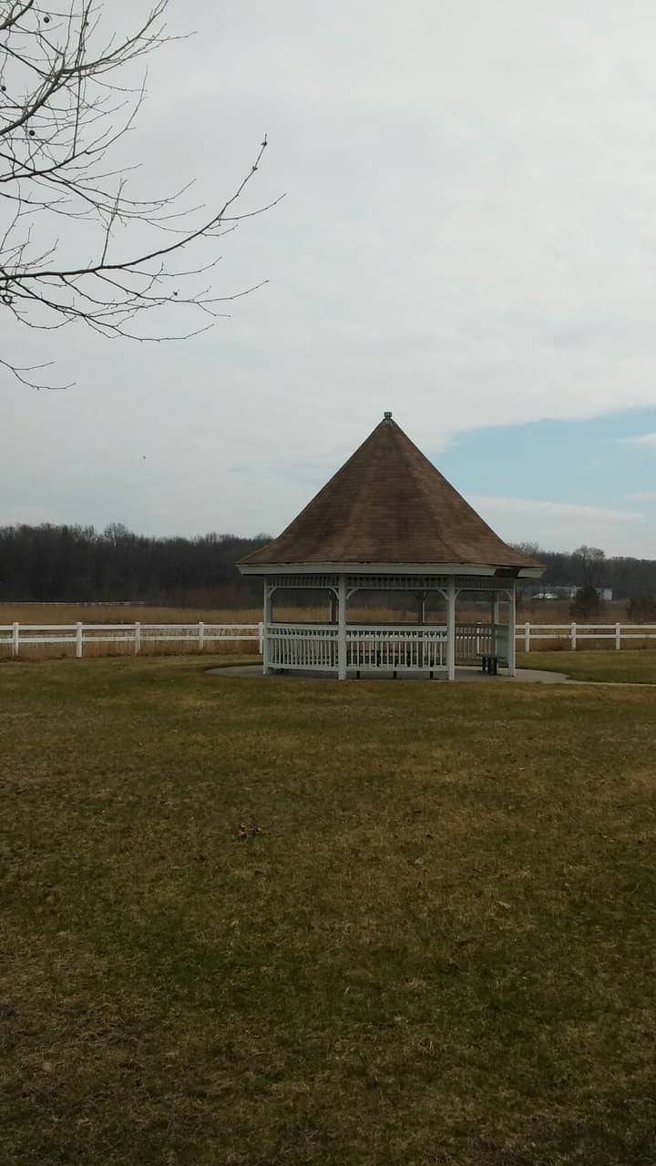 Birdwatching Paradise