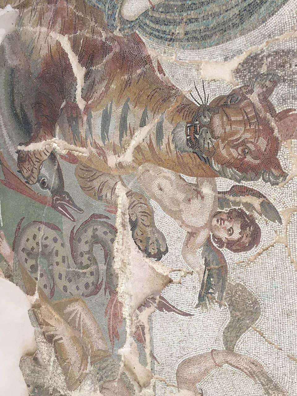 Roman Public Toilets