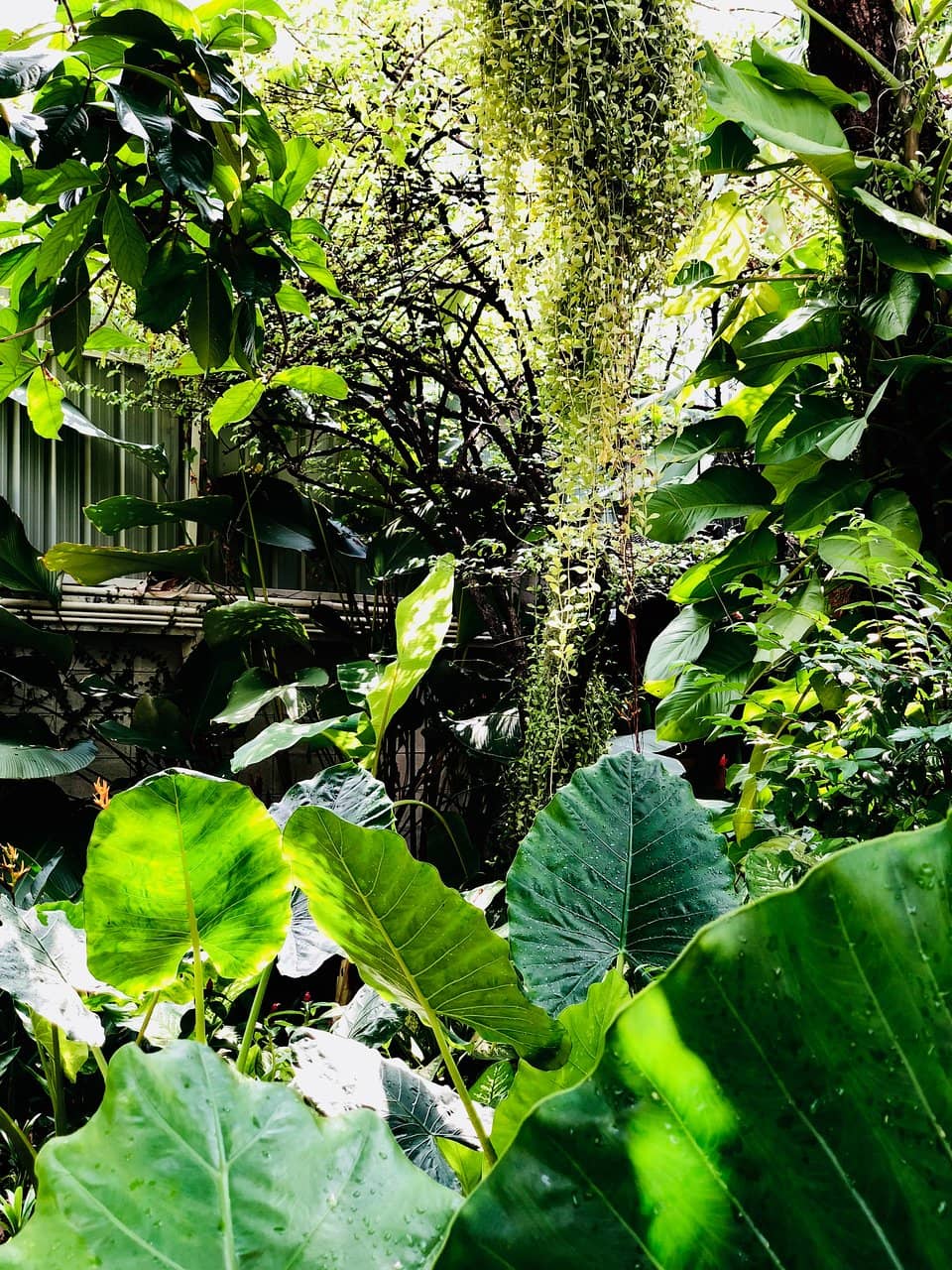 Traditional Thai Massage