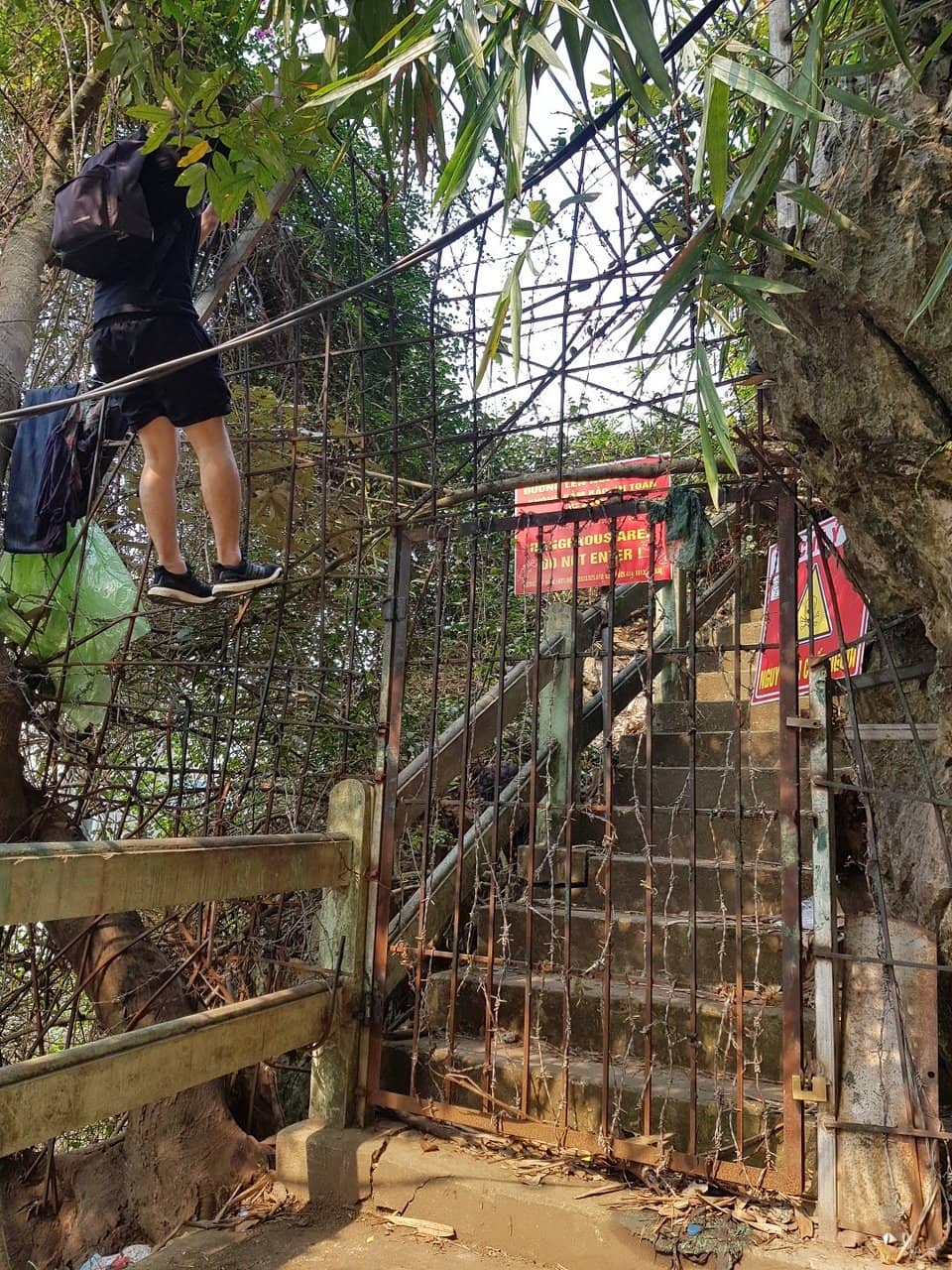 Panoramic Ha Long Bay Views