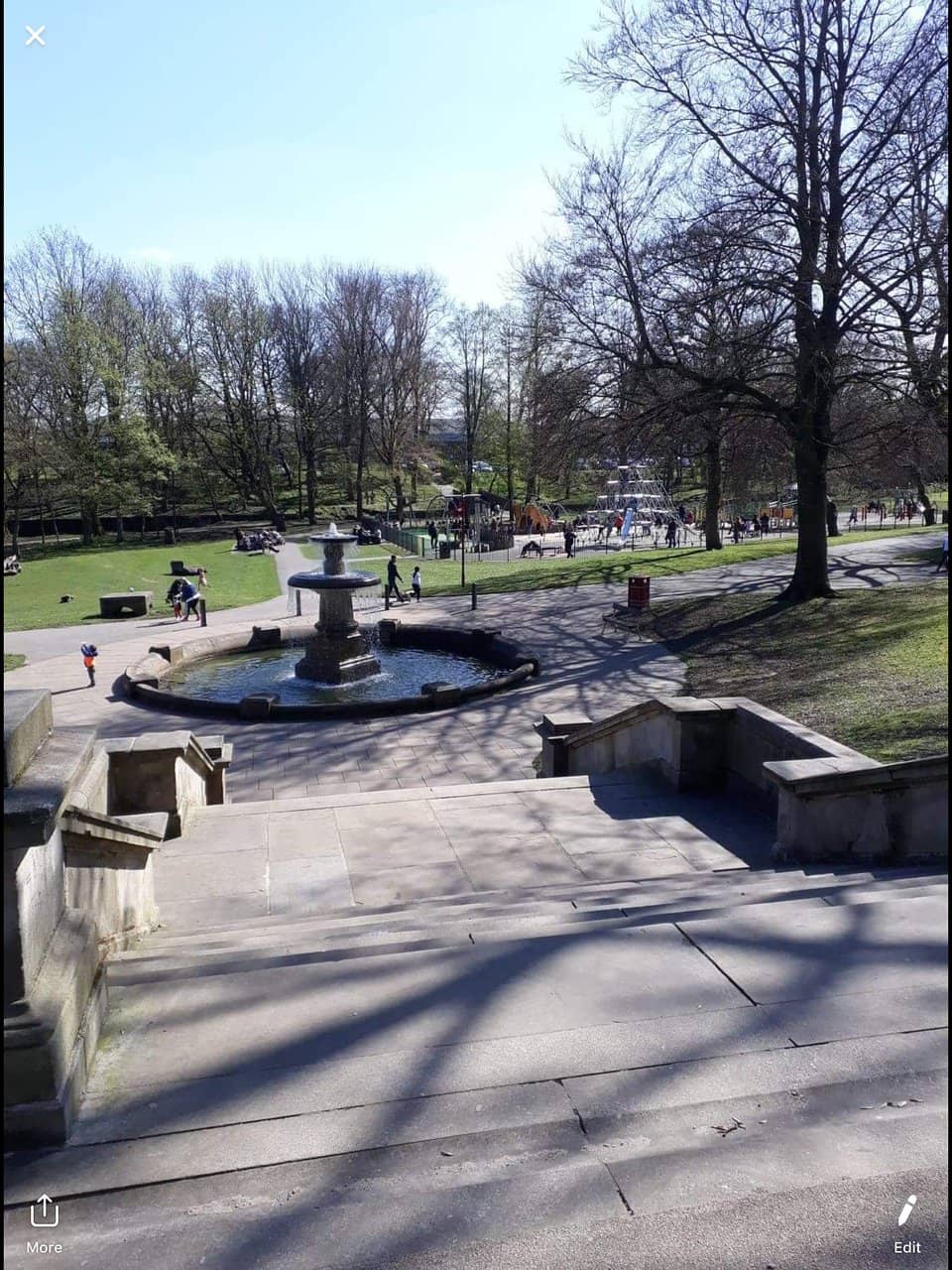 Peaceful Pond & Wildlife