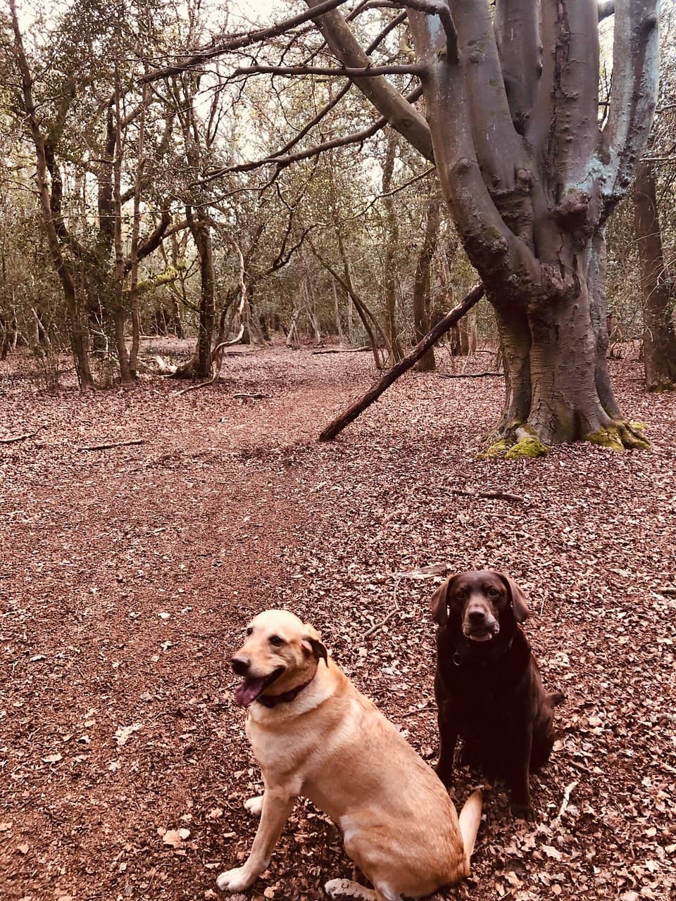 Visitor Centre & Cafe
