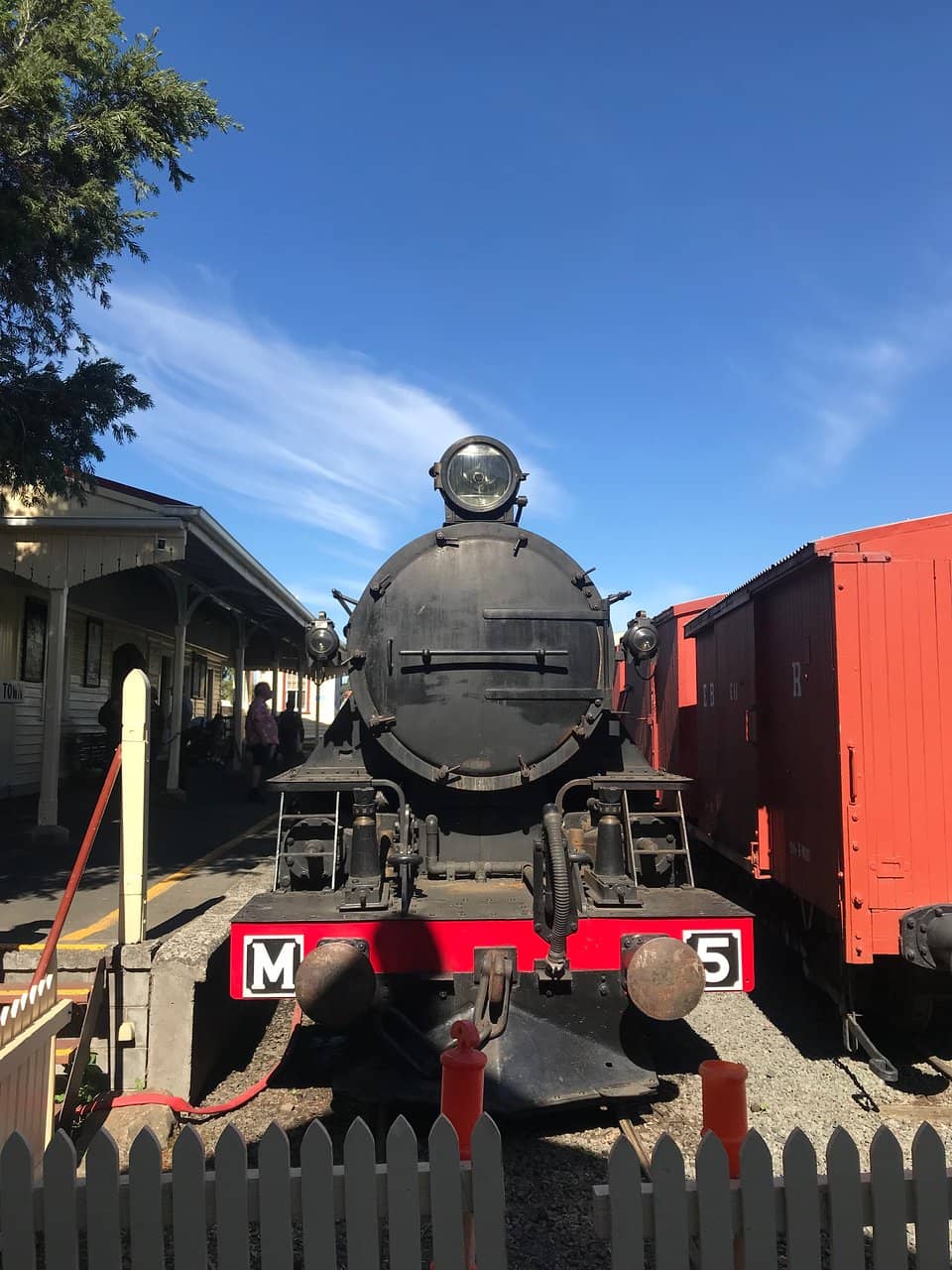 Steam Train Ride