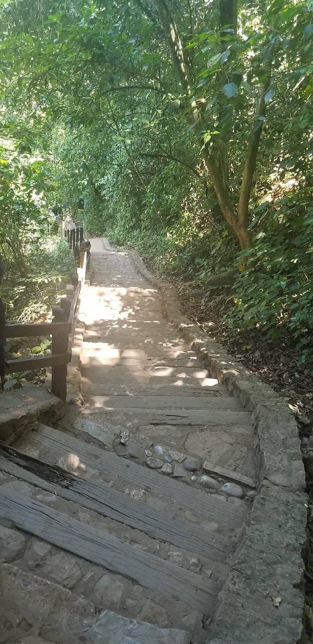 Dr. René Favaloro Memorial