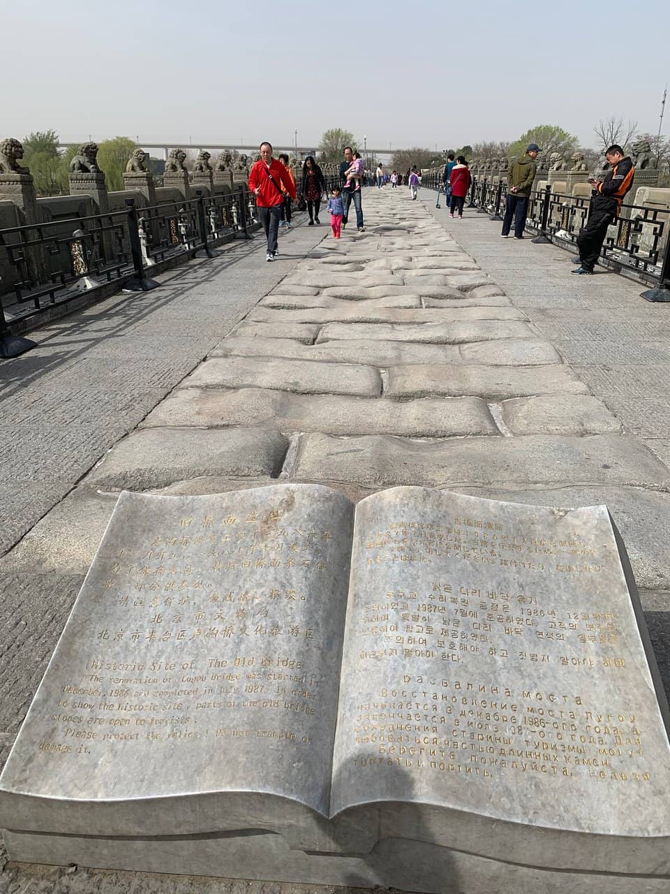 The Stone Lions