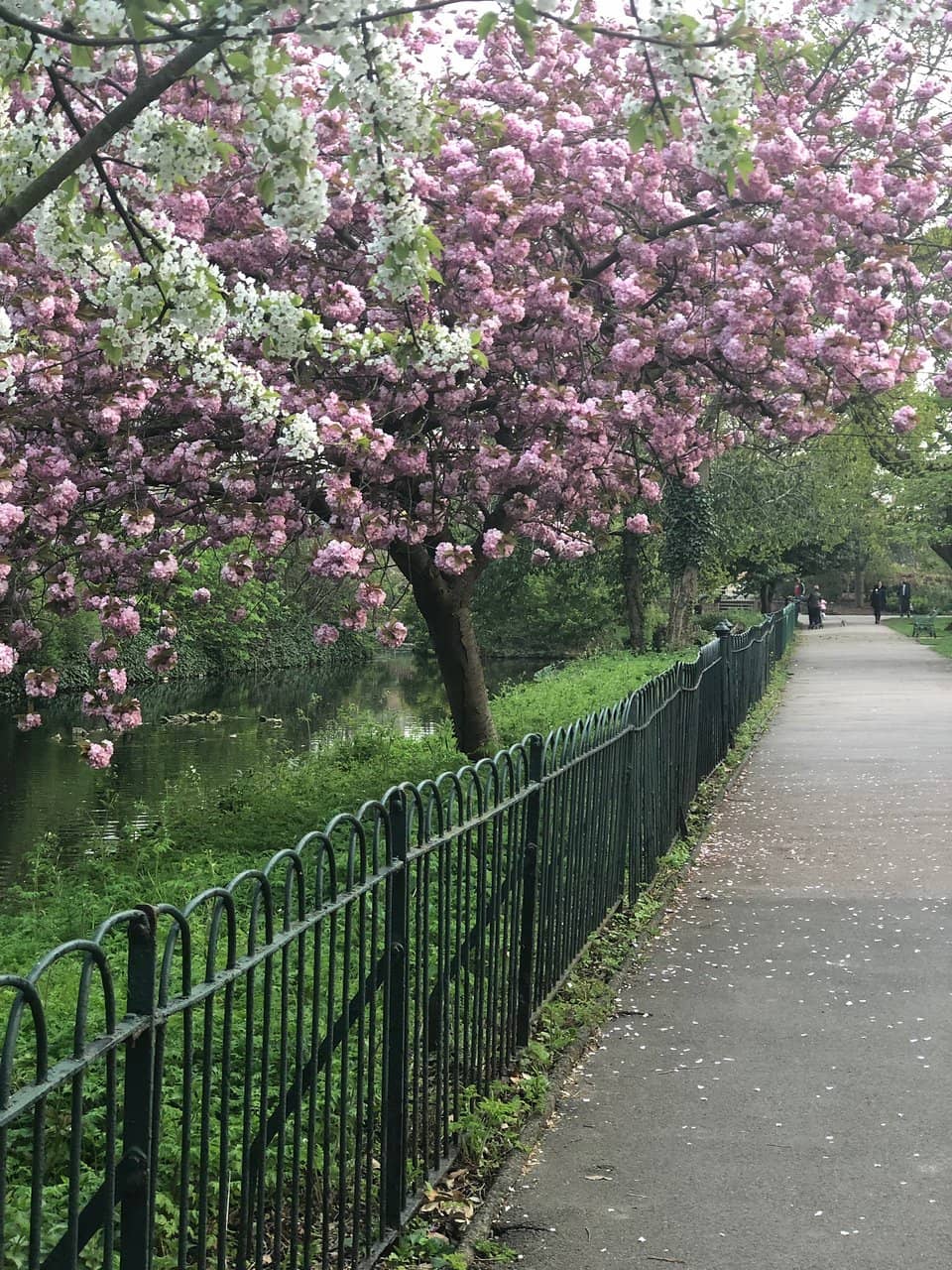 Children's Play Area