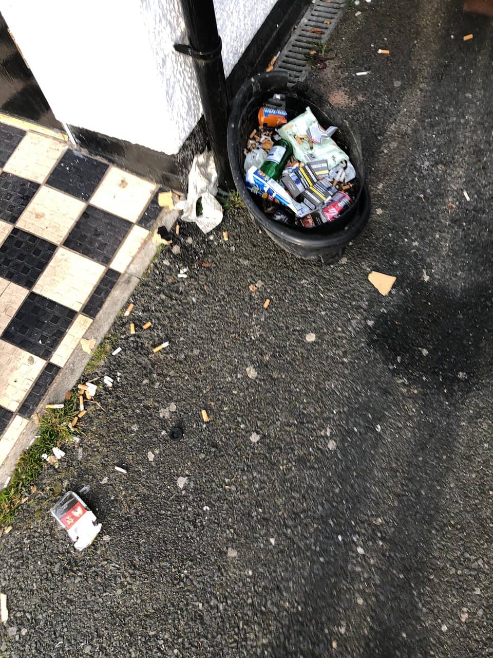 Family & Dog-Friendly