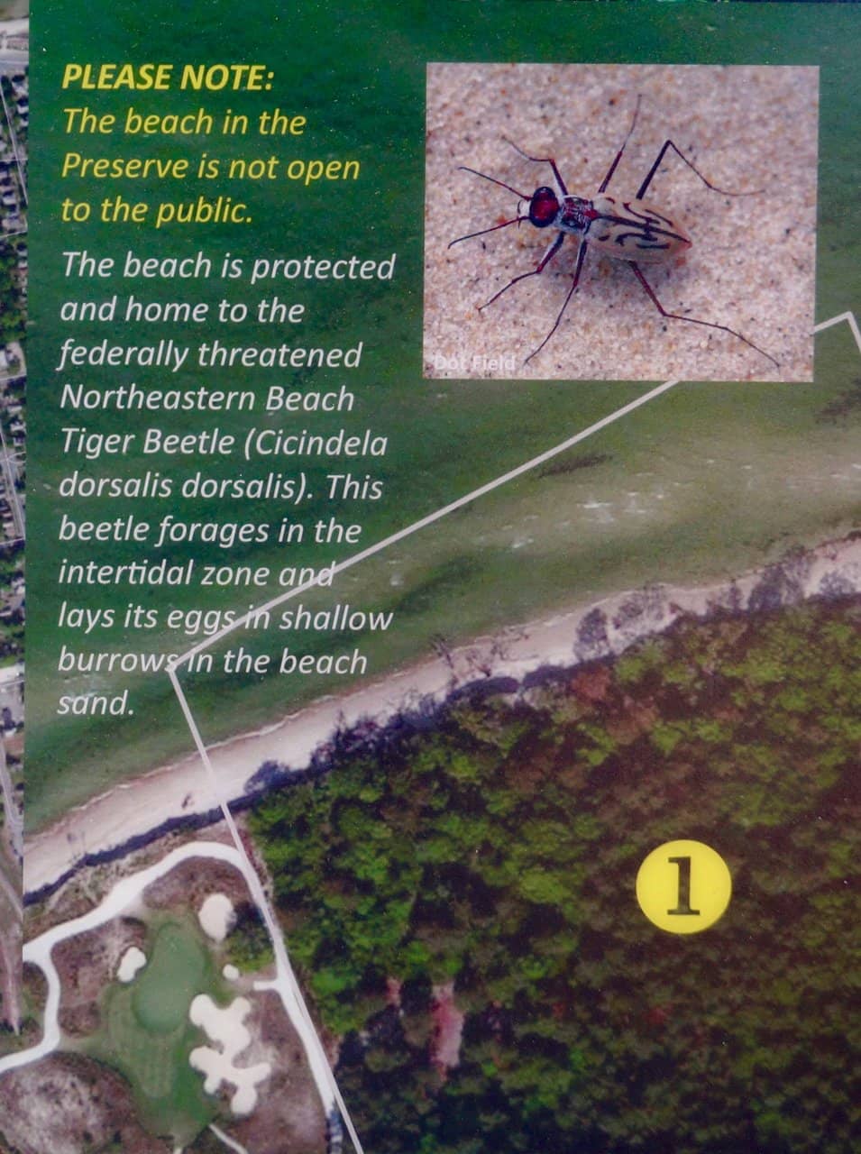 Kiptopeke State Park