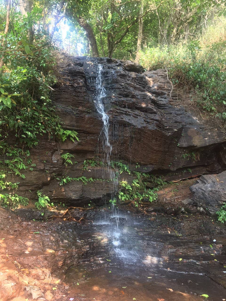 Vertical photo
