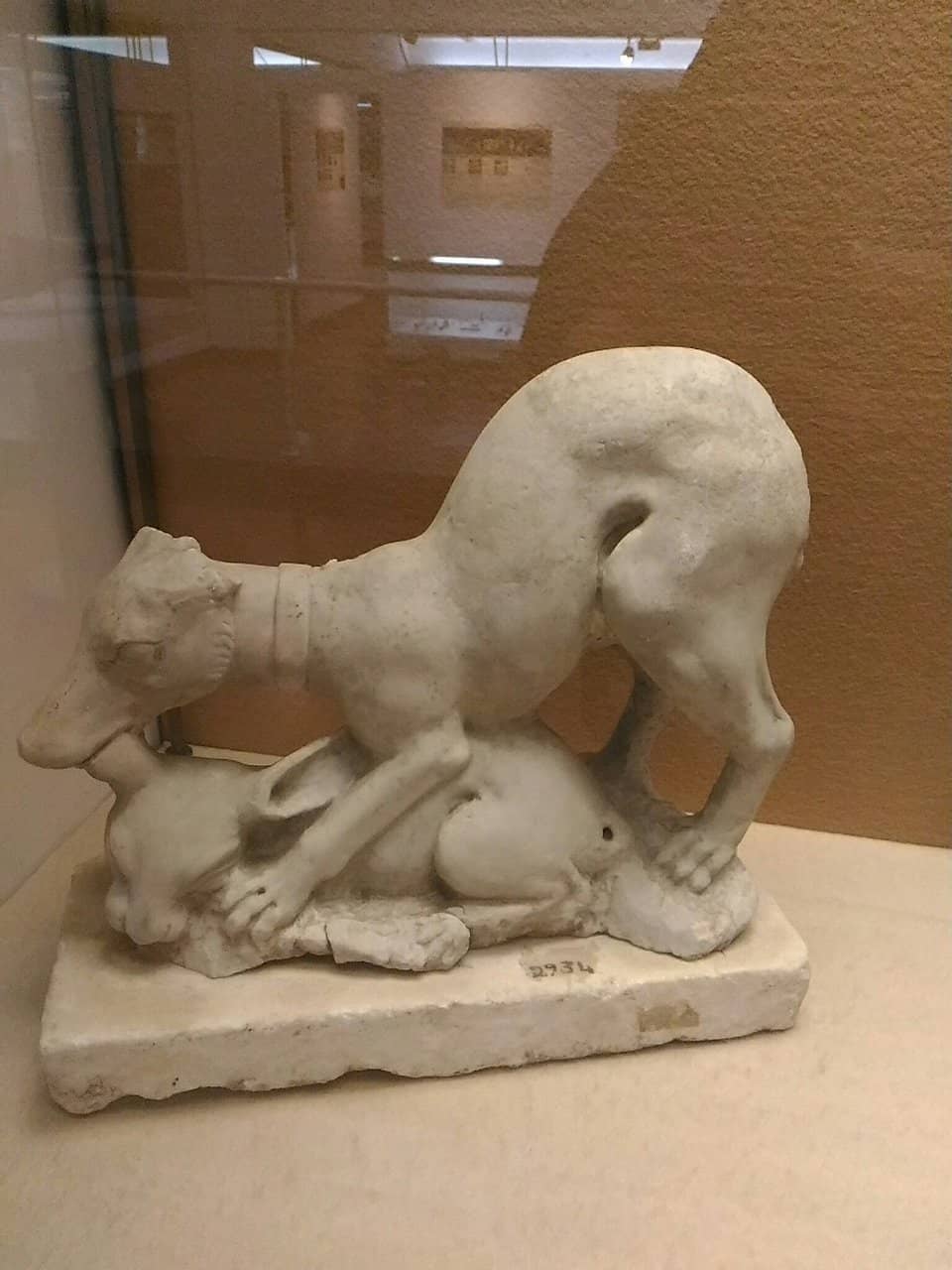 Artifacts from Longola Excavation