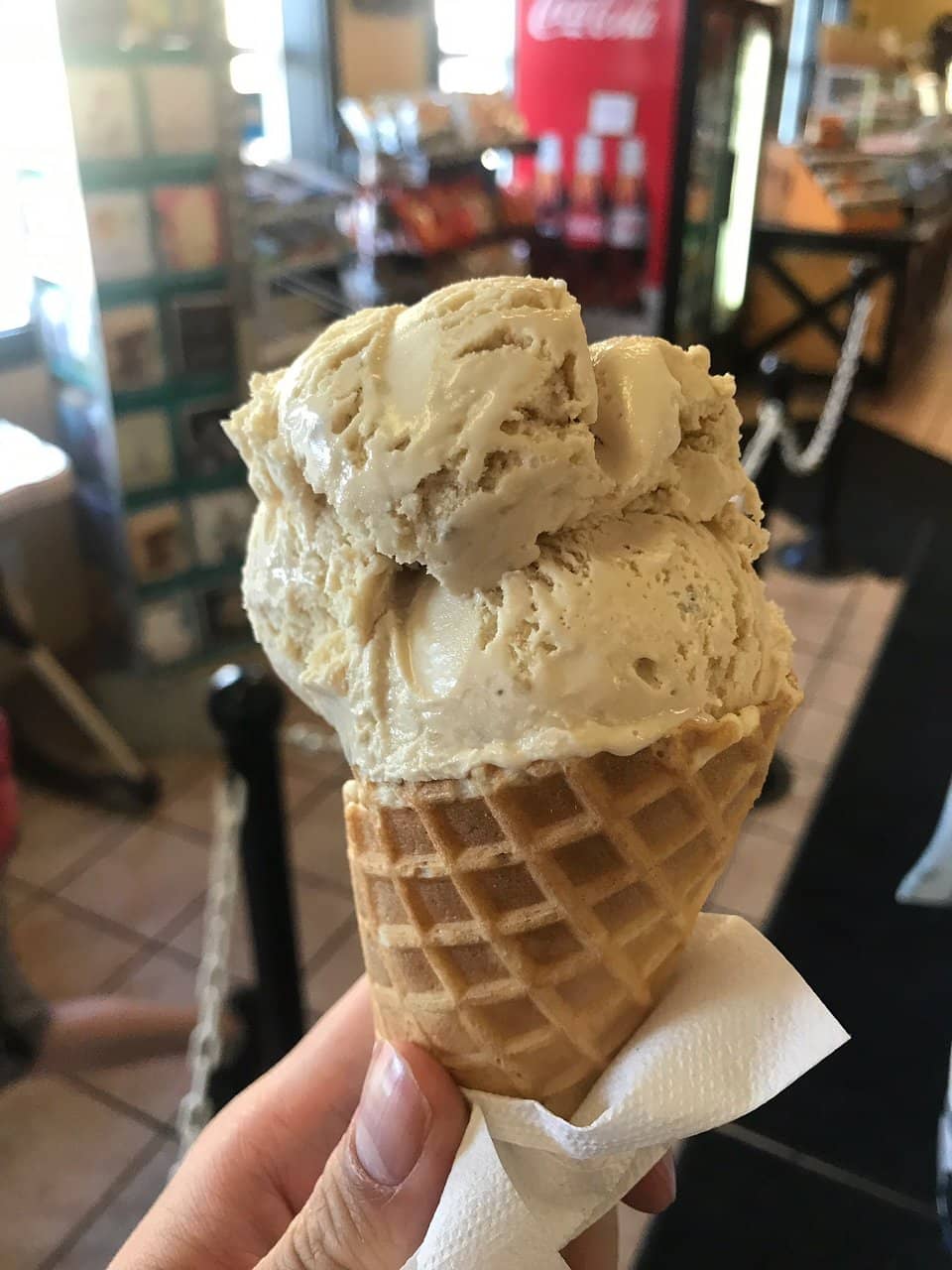 Fresh Dairy Products