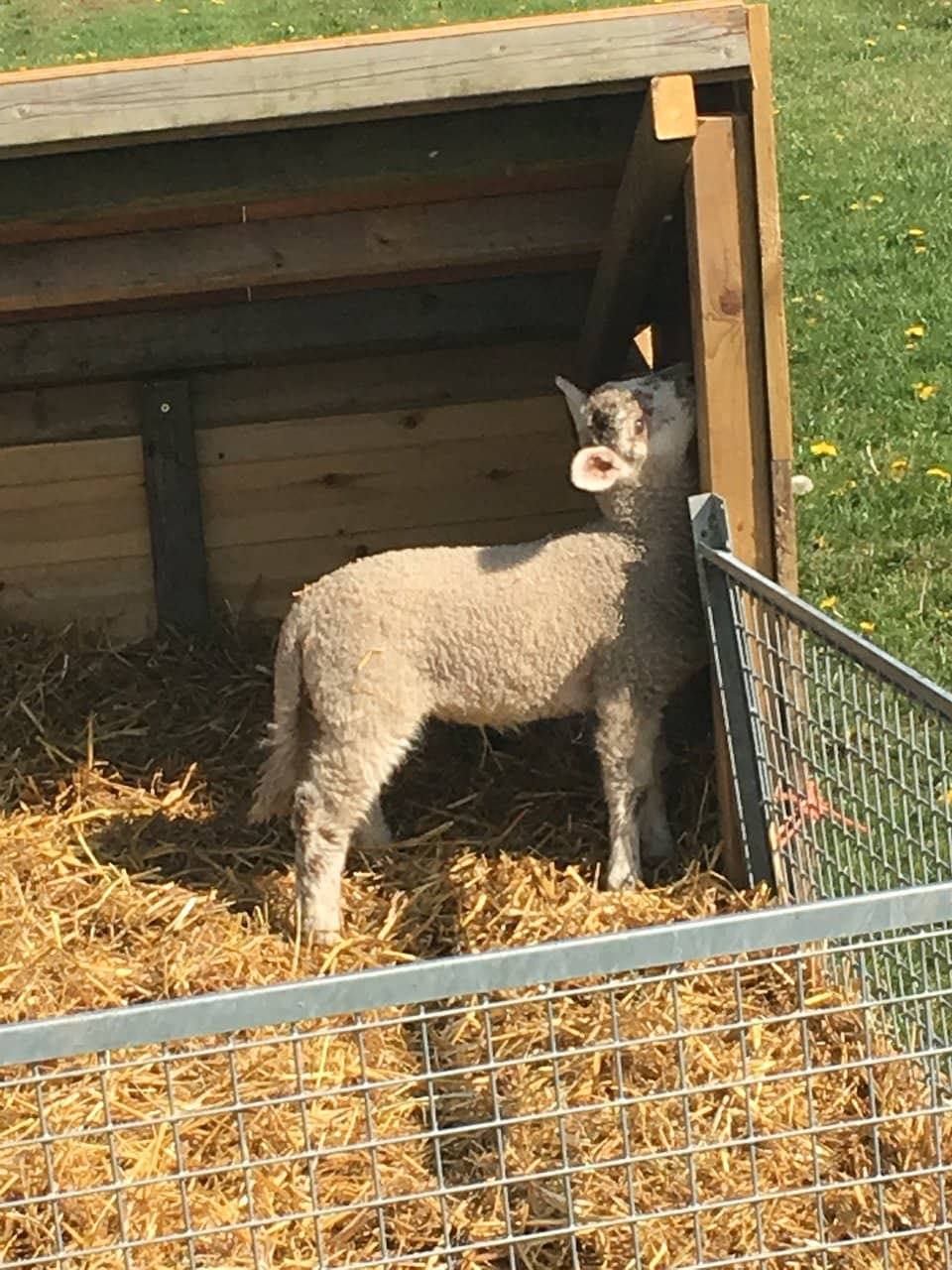 Children's Play Area