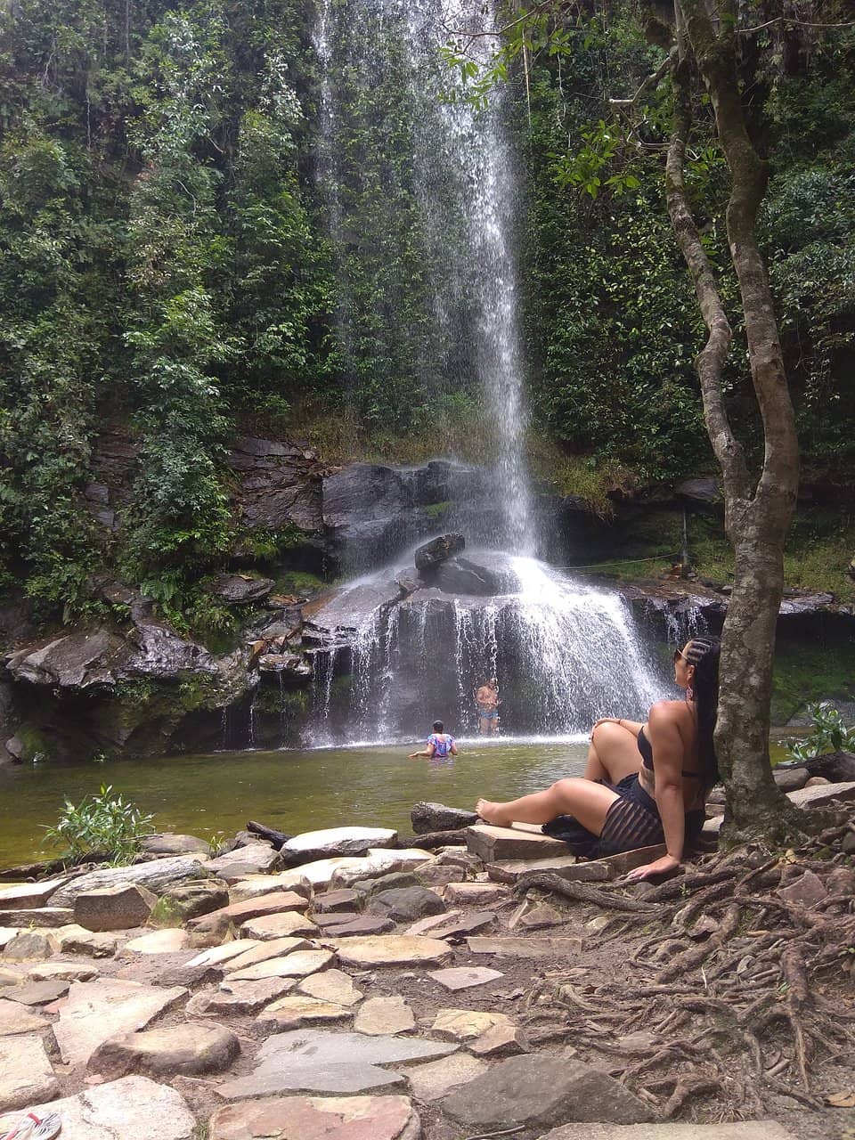 Natural Swimming Pools